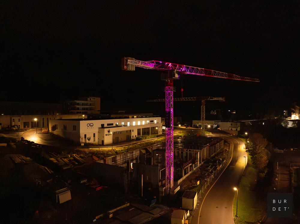 Octobre Rose monte en grue 